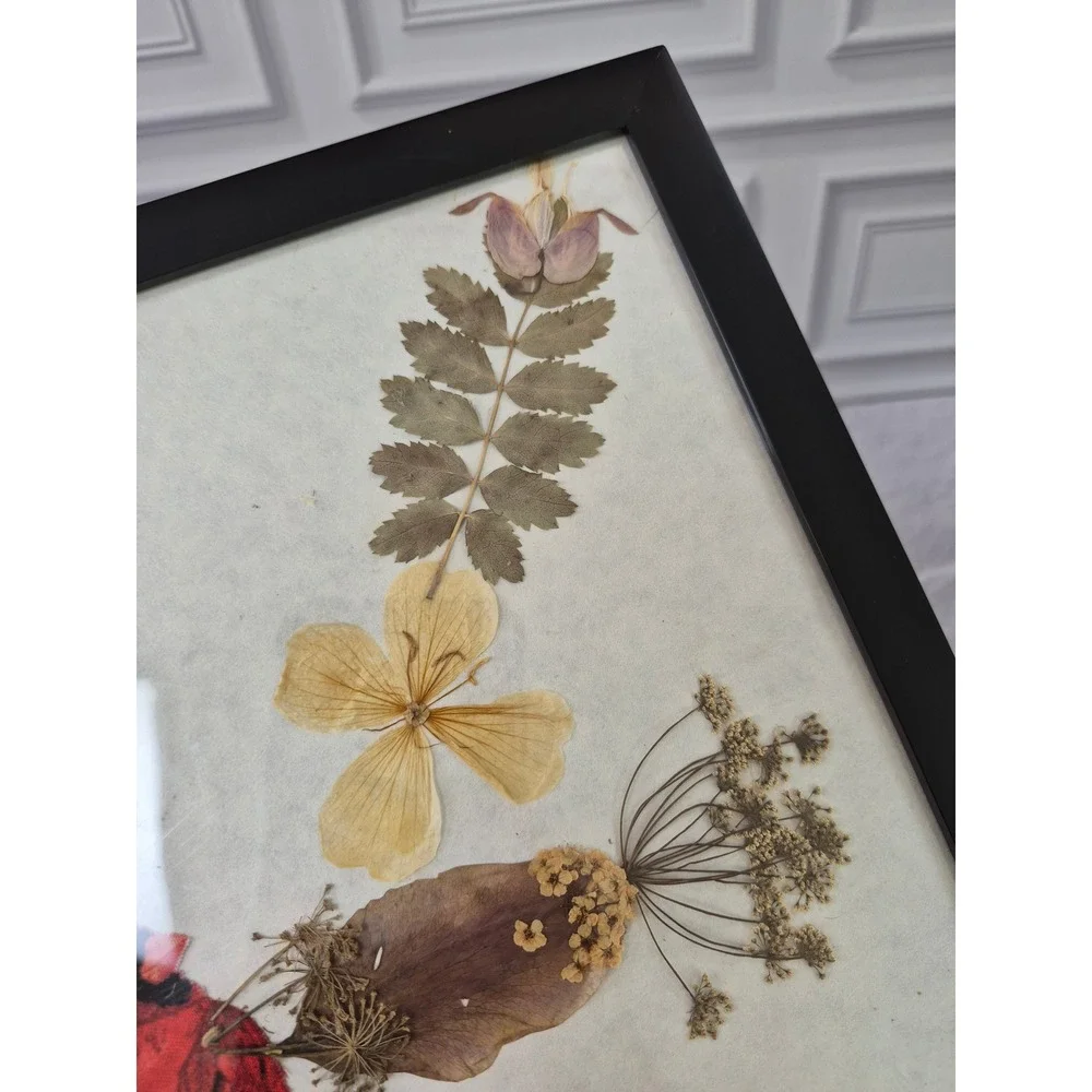 Pressed Flower Botanical Art Framed Red Cardinal Bird Wall Decor 12.5x12.5